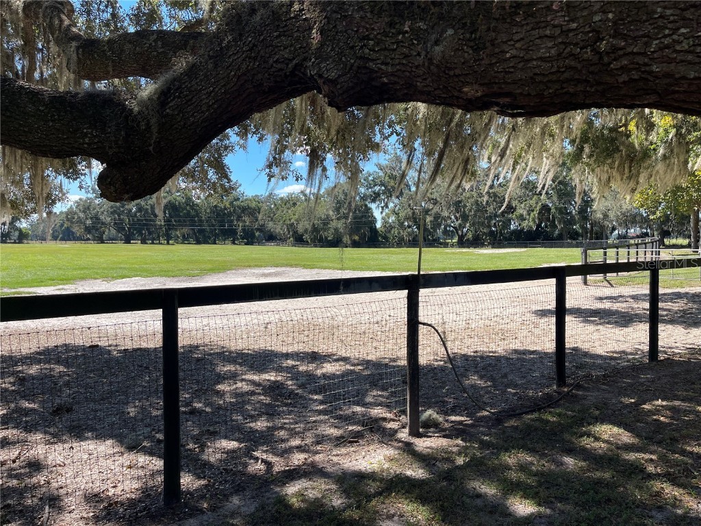 2551 NE 107th Place Chiefland FL 32626 OM710750 image56