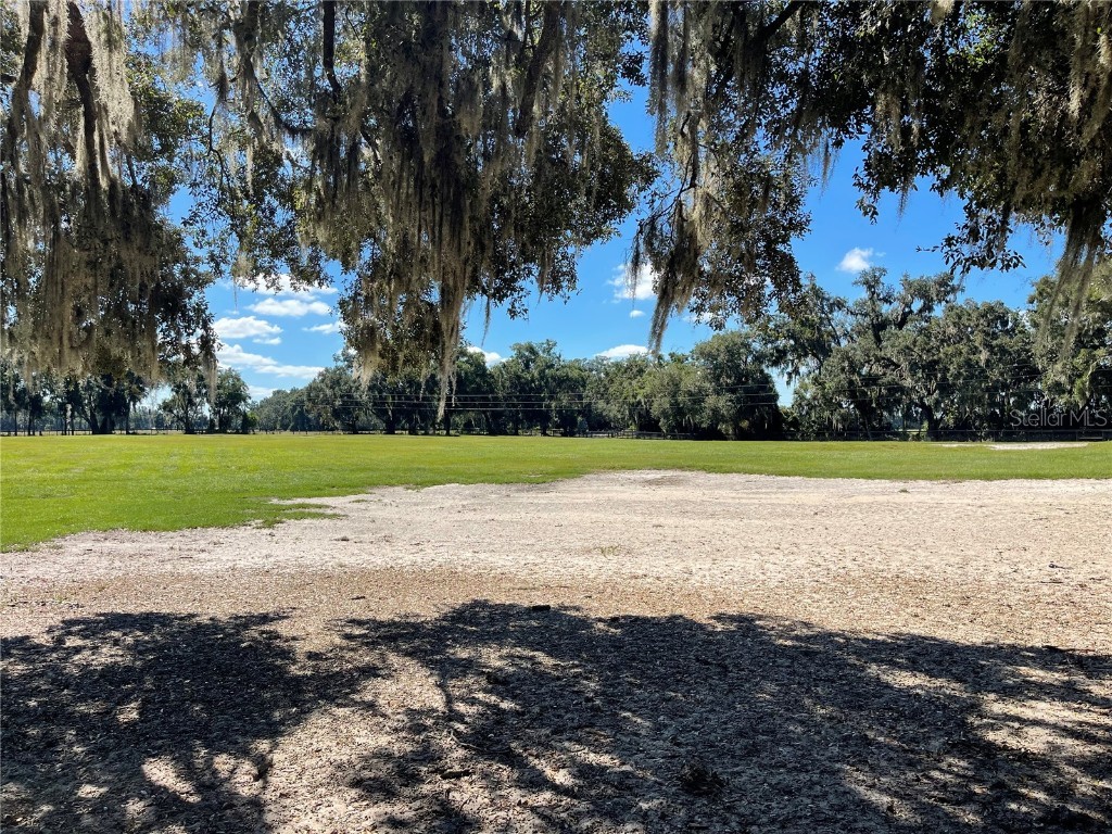 2551 NE 107th Place Chiefland FL 32626 OM710750 image58