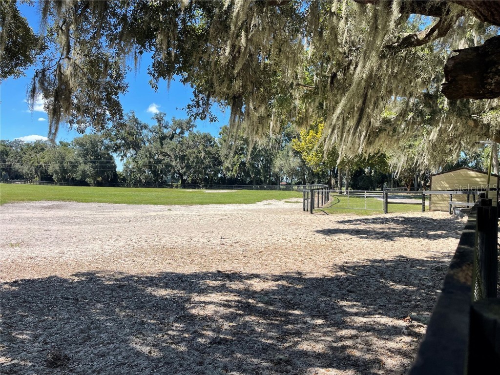 2551 NE 107th Place Chiefland FL 32626 OM710750 image59