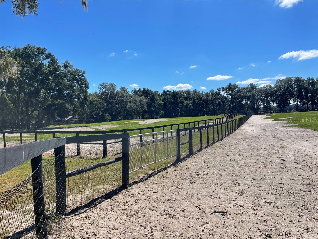 2551 NE 107th Place Chiefland FL 32626 OM710750 image60