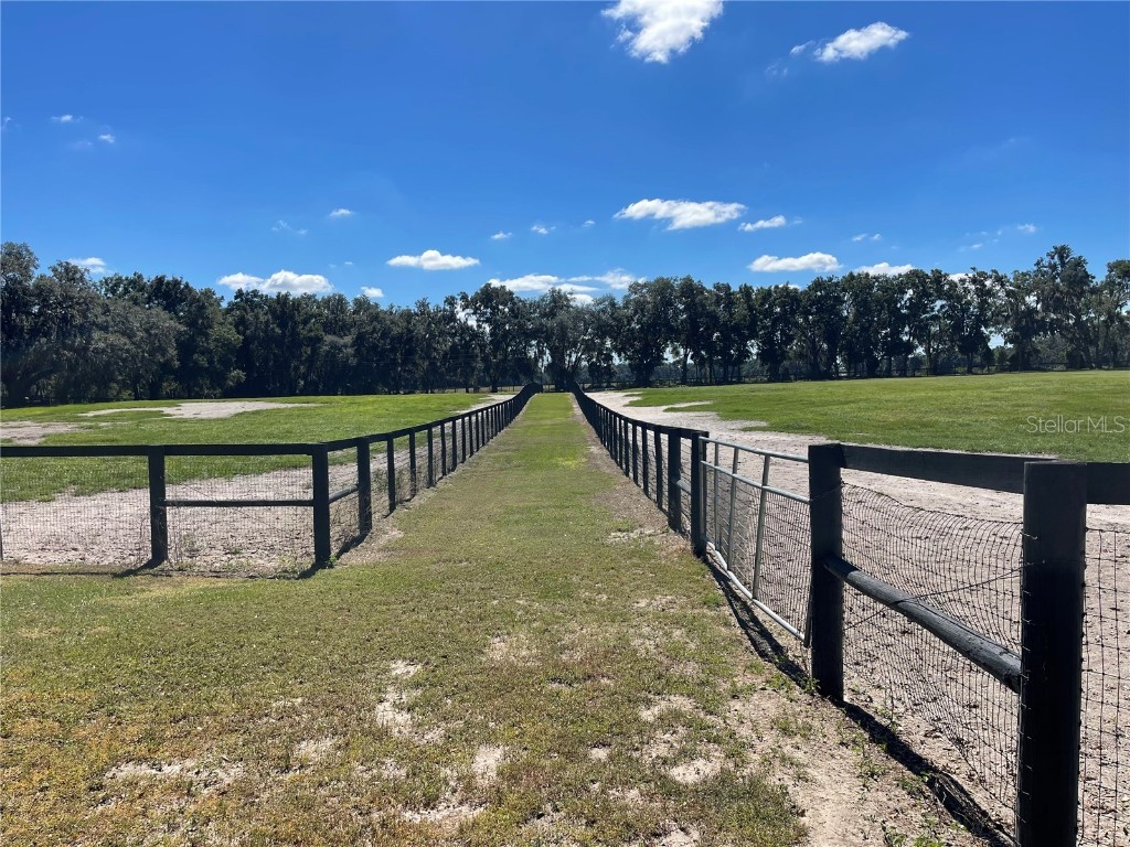 2551 NE 107th Place Chiefland FL 32626 OM710750 image61