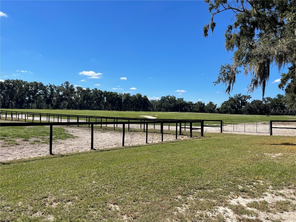 2551 NE 107th Place Chiefland FL 32626 OM710750 image62