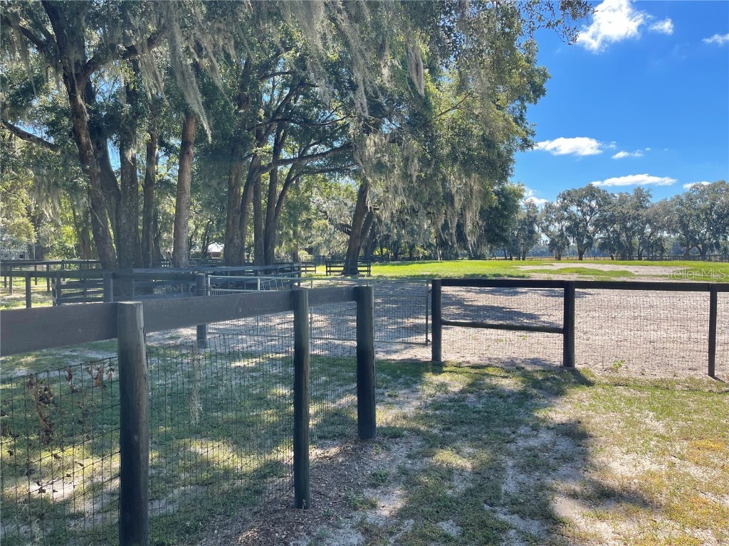 2551 NE 107th Place Chiefland FL 32626 OM710750 image64