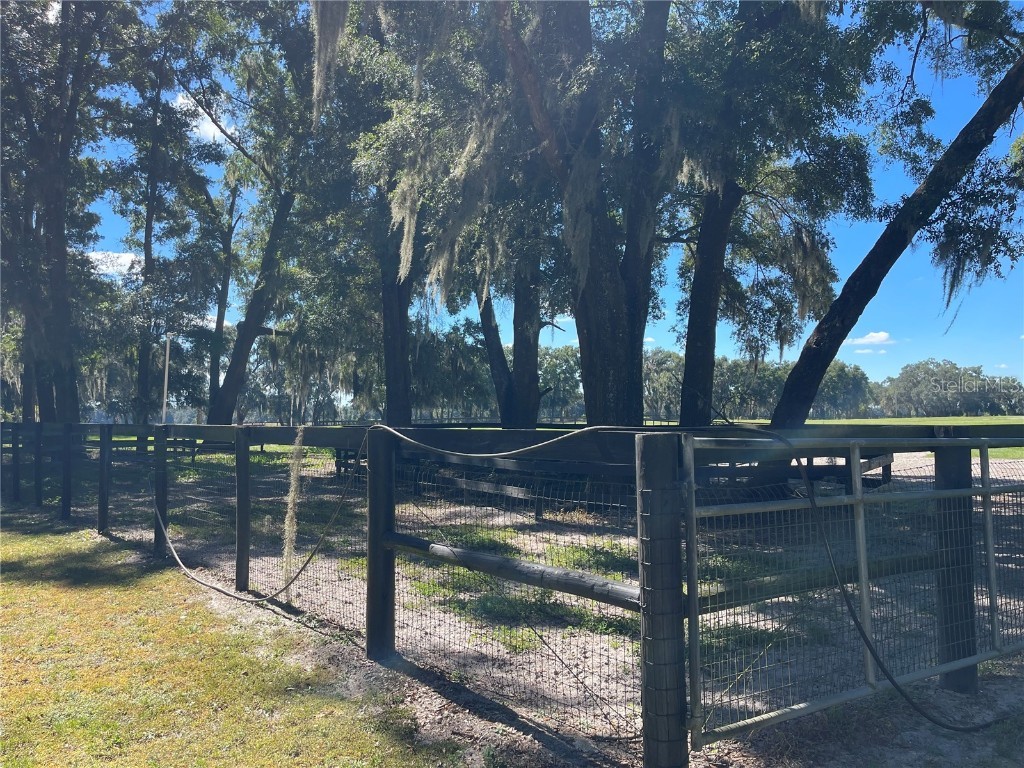 2551 NE 107th Place Chiefland FL 32626 OM710750 image65