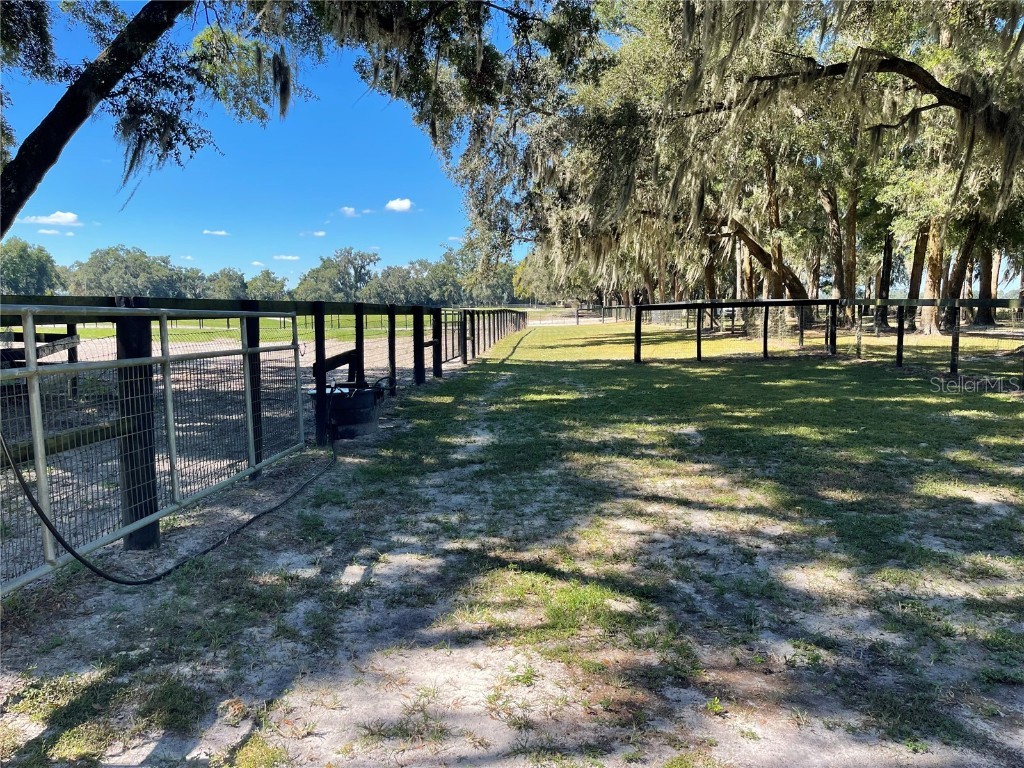 2551 NE 107th Place Chiefland FL 32626 OM710750 image66