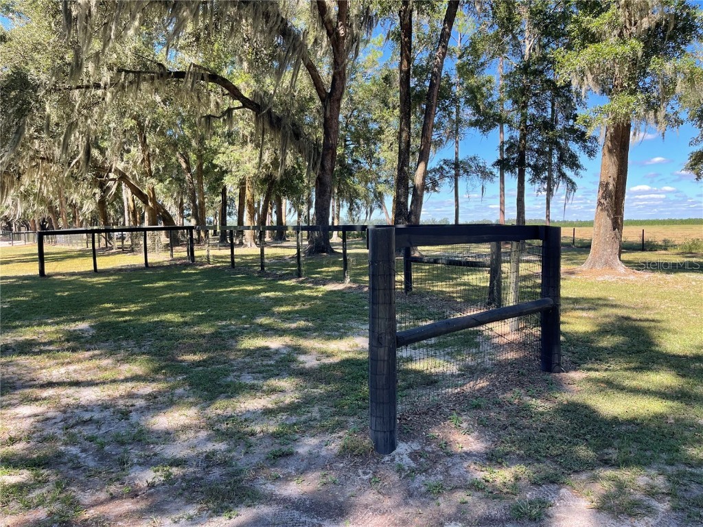 2551 NE 107th Place Chiefland FL 32626 OM710750 image67