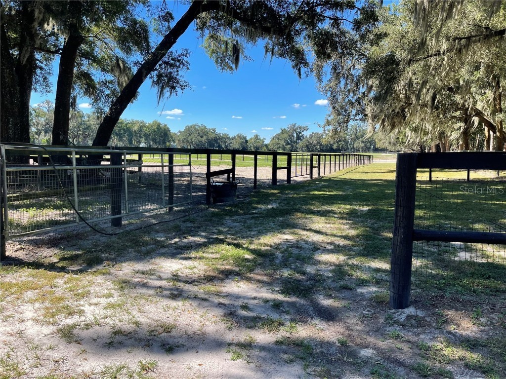 2551 NE 107th Place Chiefland FL 32626 OM710750 image68