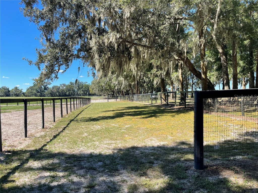 2551 NE 107th Place Chiefland FL 32626 OM710750 image69