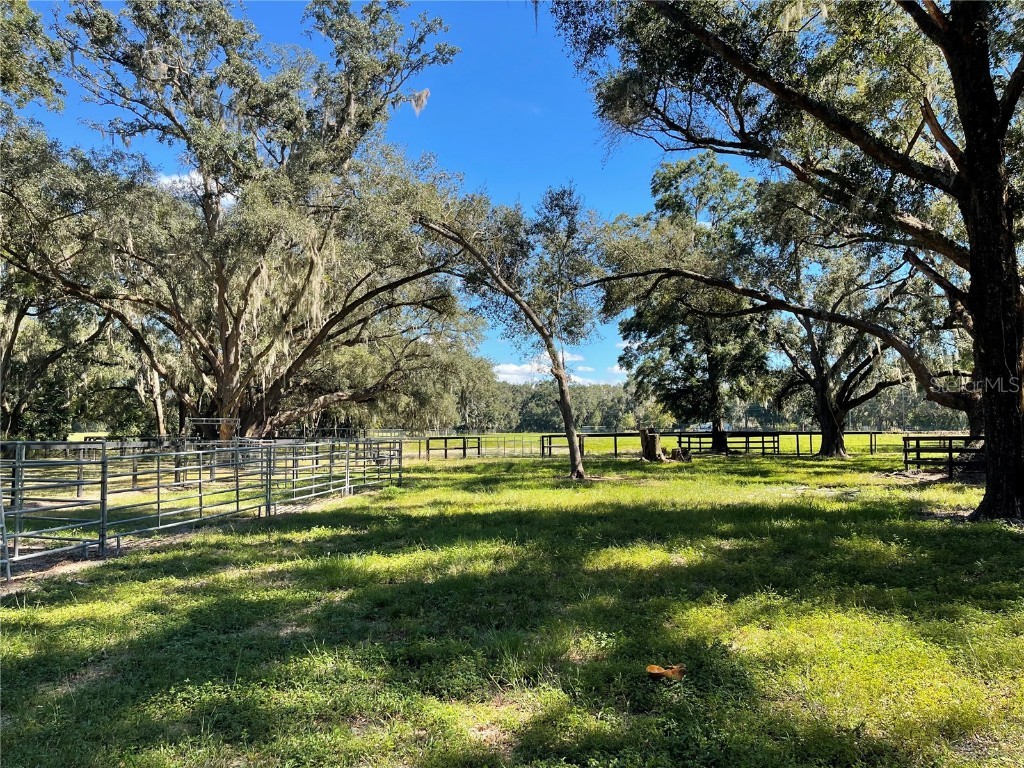 2551 NE 107th Place Chiefland FL 32626 OM710750 image71