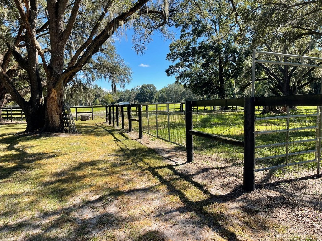 2551 NE 107th Place Chiefland FL 32626 OM710750 image72