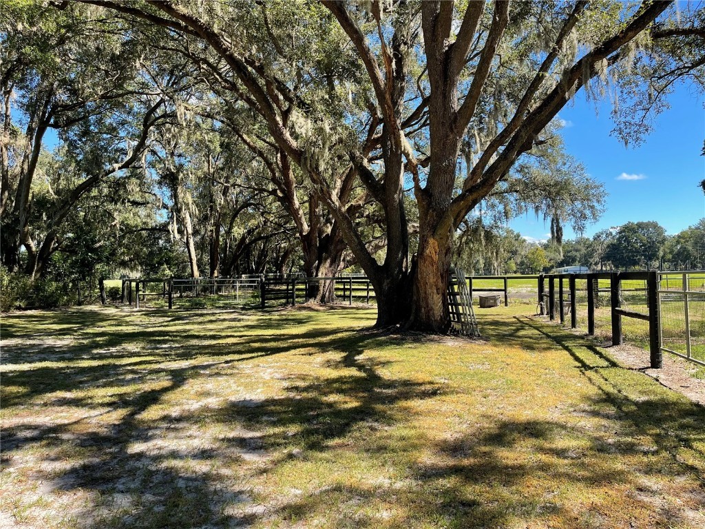 2551 NE 107th Place Chiefland FL 32626 OM710750 image73