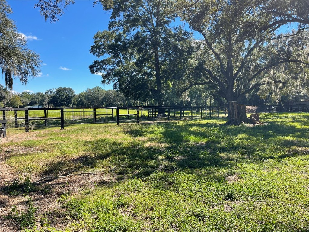 2551 NE 107th Place Chiefland FL 32626 OM710750 image74