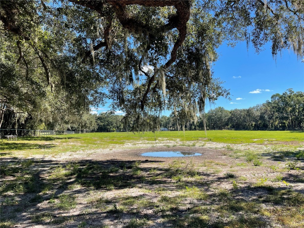 2551 NE 107th Place Chiefland FL 32626 OM710750 image77