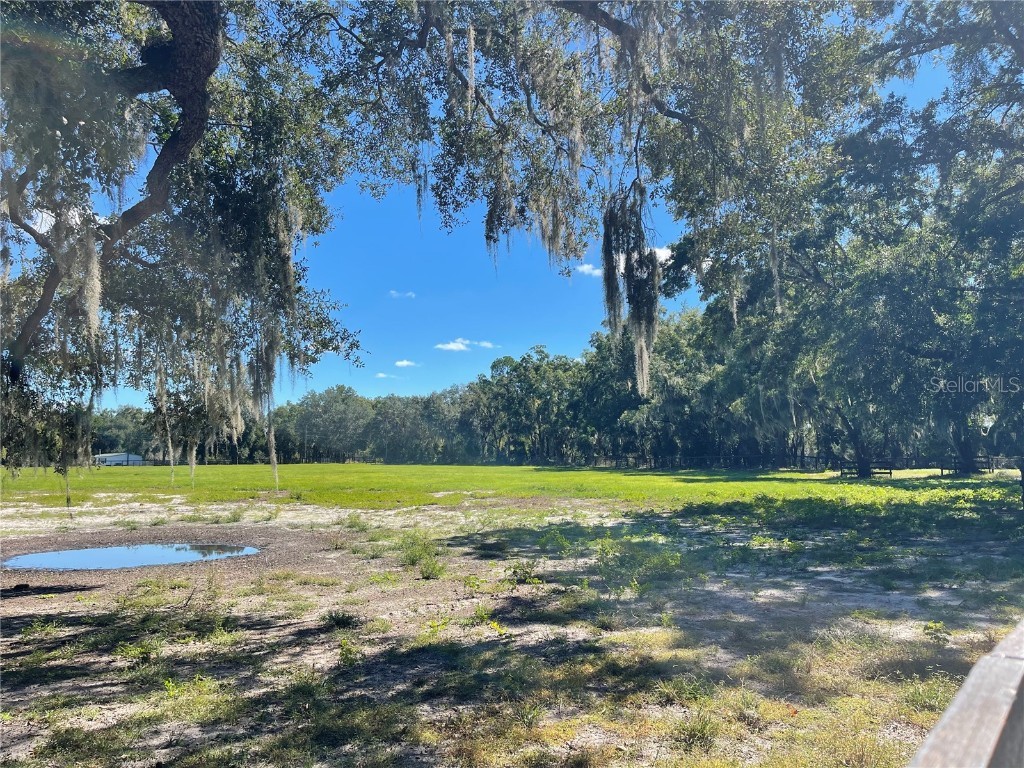 2551 NE 107th Place Chiefland FL 32626 OM710750 image78