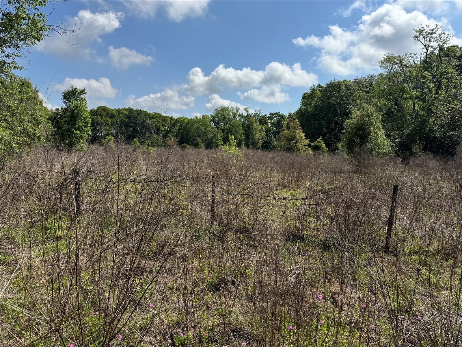 2551 SW 107th Place Ocala FL 34476 V4947720 image3
