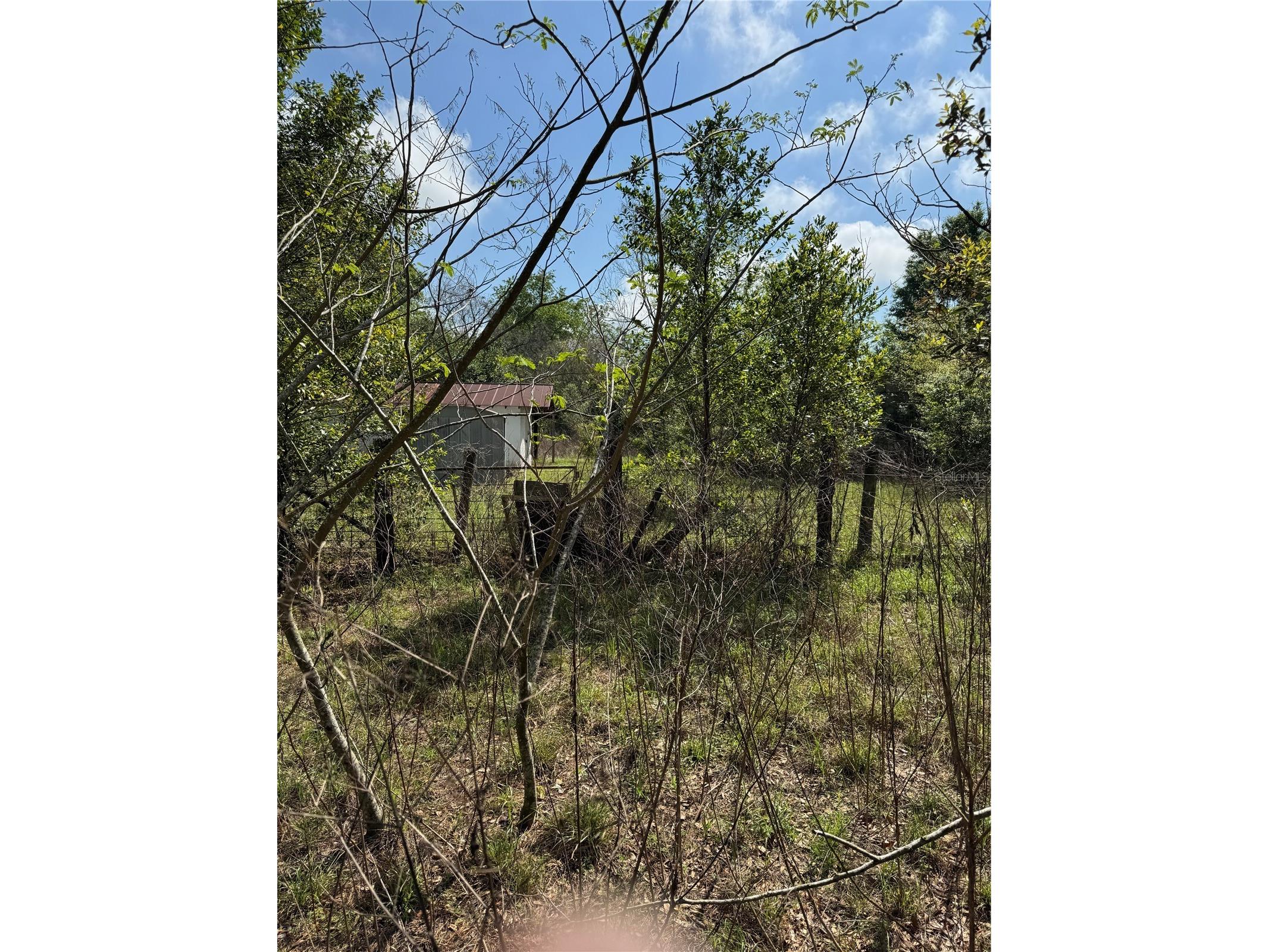 2551 SW 107th Place Ocala FL 34476 V4947720 image4