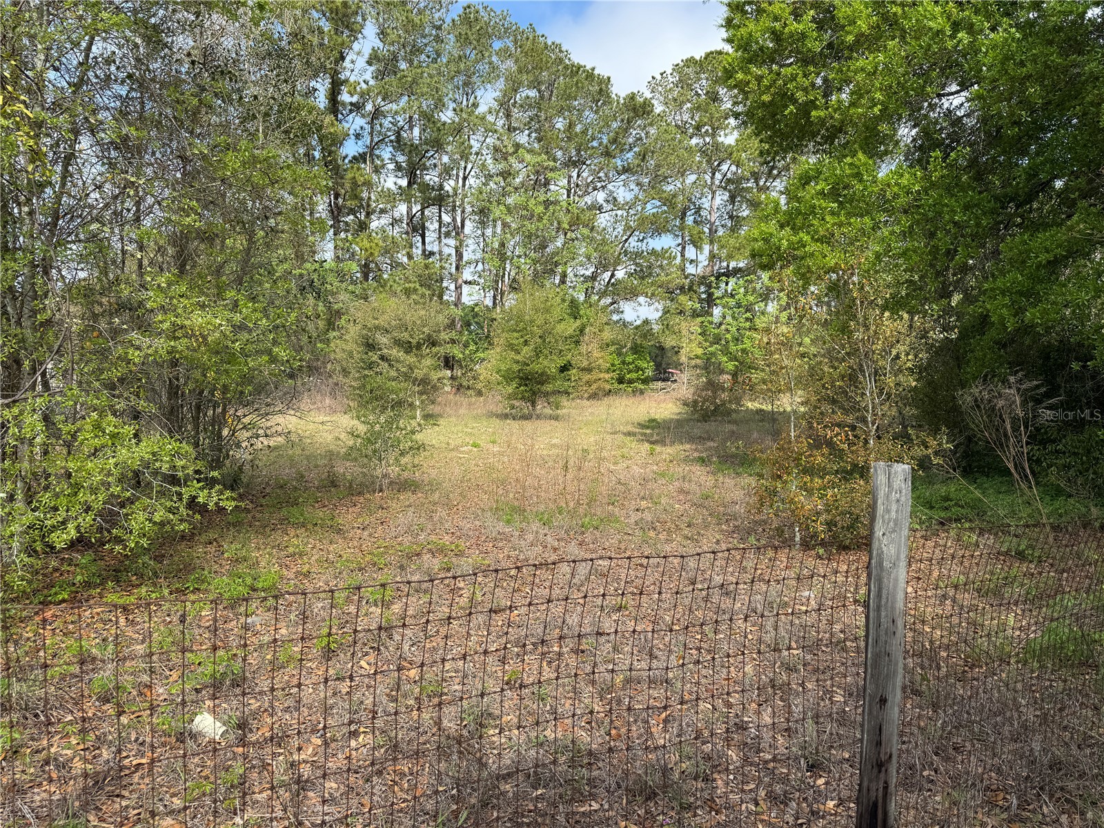 2551 SW 107th Place Ocala FL 34476 V4947720 image5