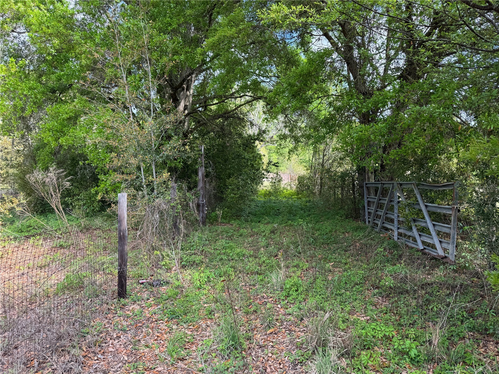 2551 SW 107th Place Ocala FL 34476 V4947720 image6