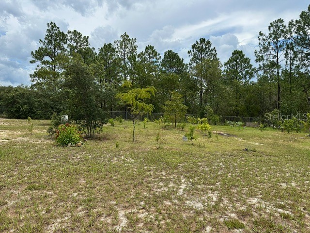 2551 SW Harbor Hills Road Dunnellon FL 34431 S5132567 image24