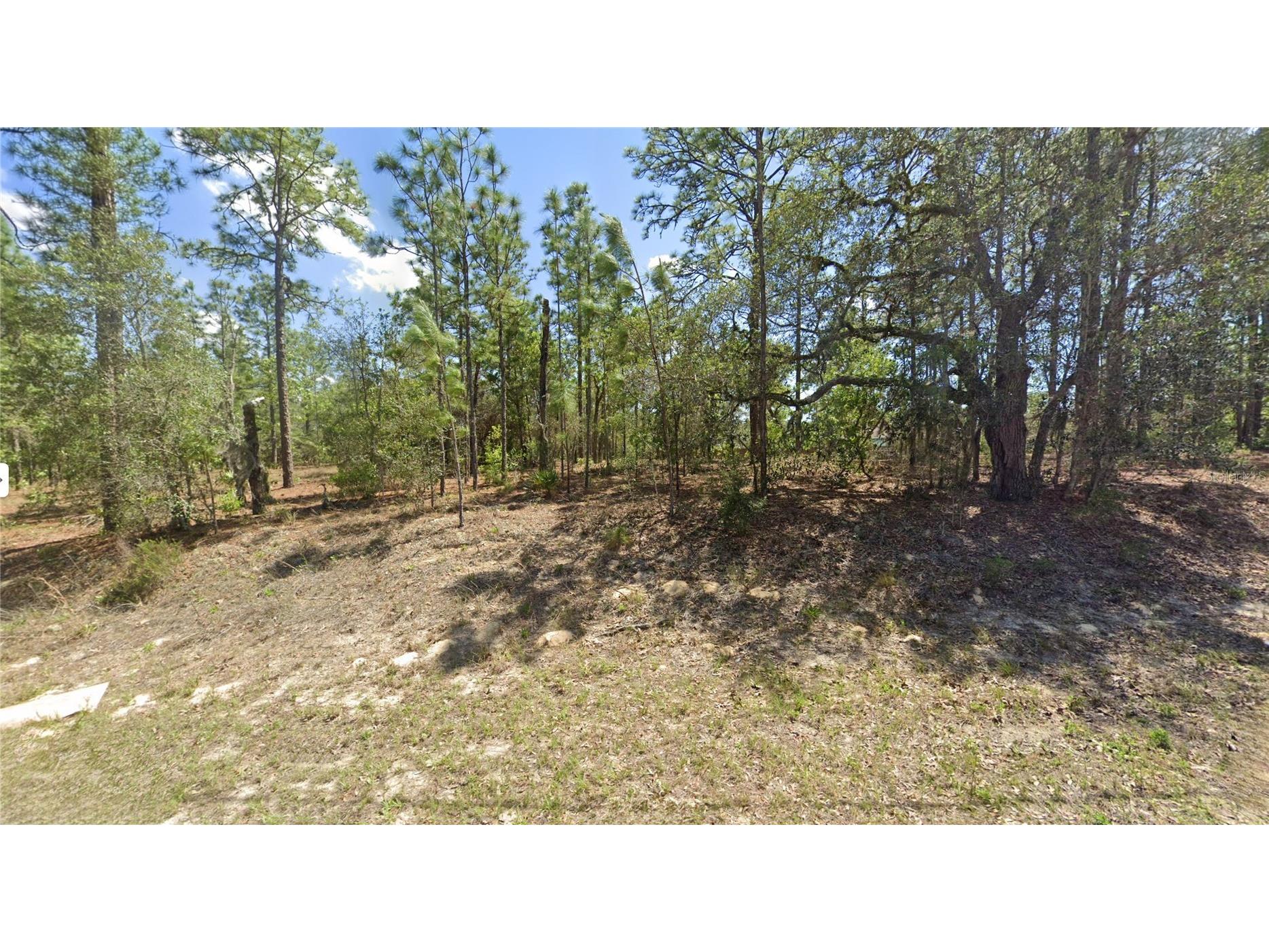 2551 W Sheila Drive Citrus Springs FL 34433 FC316522 image1