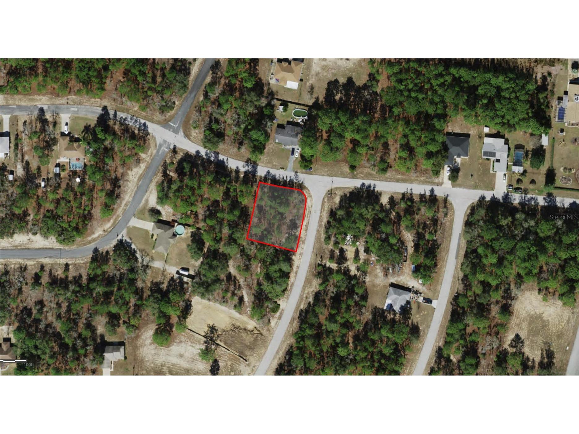 2551 W Sheila Drive Citrus Springs FL 34433 FC316522 image2