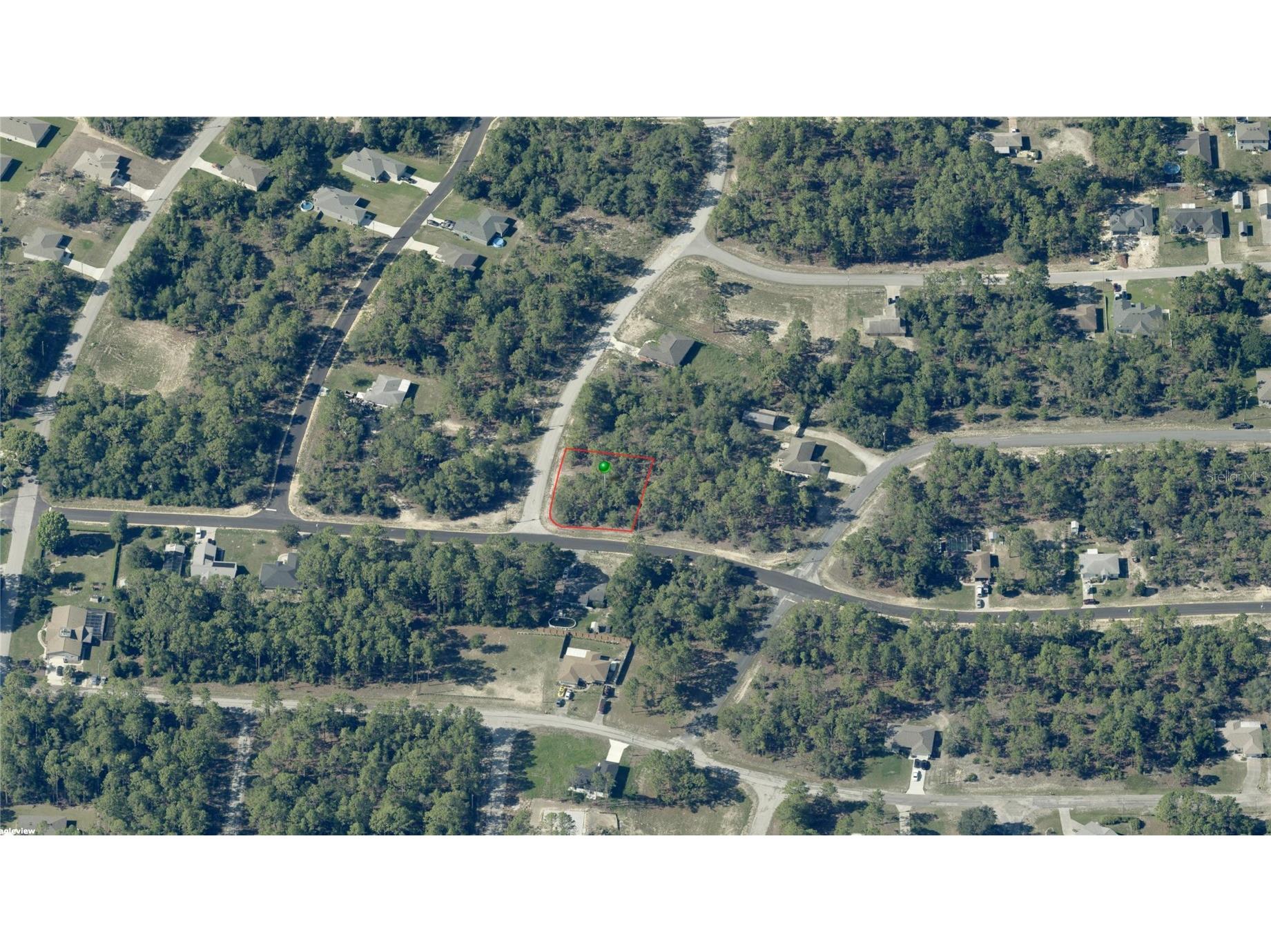 2551 W Sheila Drive Citrus Springs FL 34433 FC316522 image3