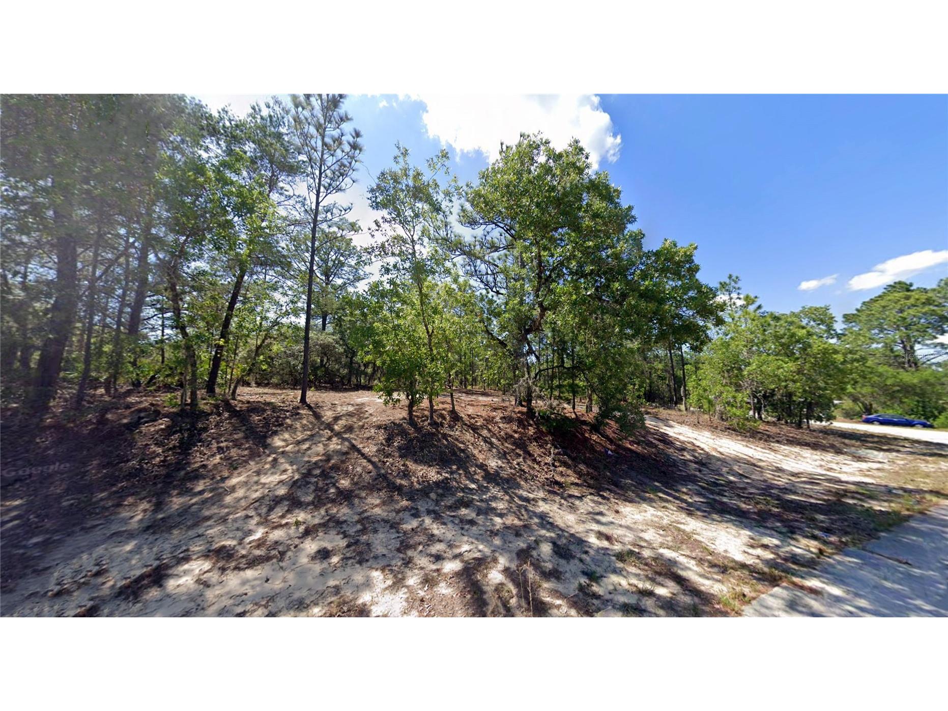 2551 W Sheila Drive Citrus Springs FL 34433 FC316522 image4