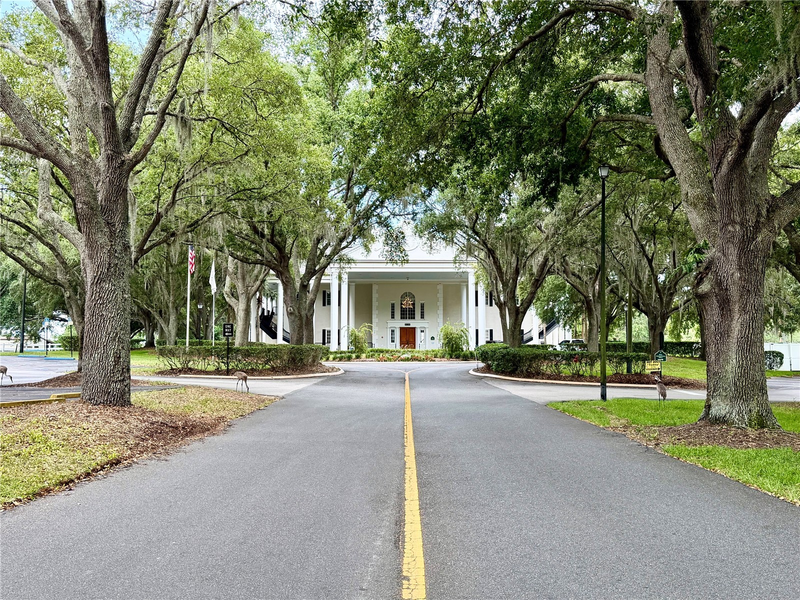 25510 Belle Alliance Leesburg FL 34748 OM725295 image20