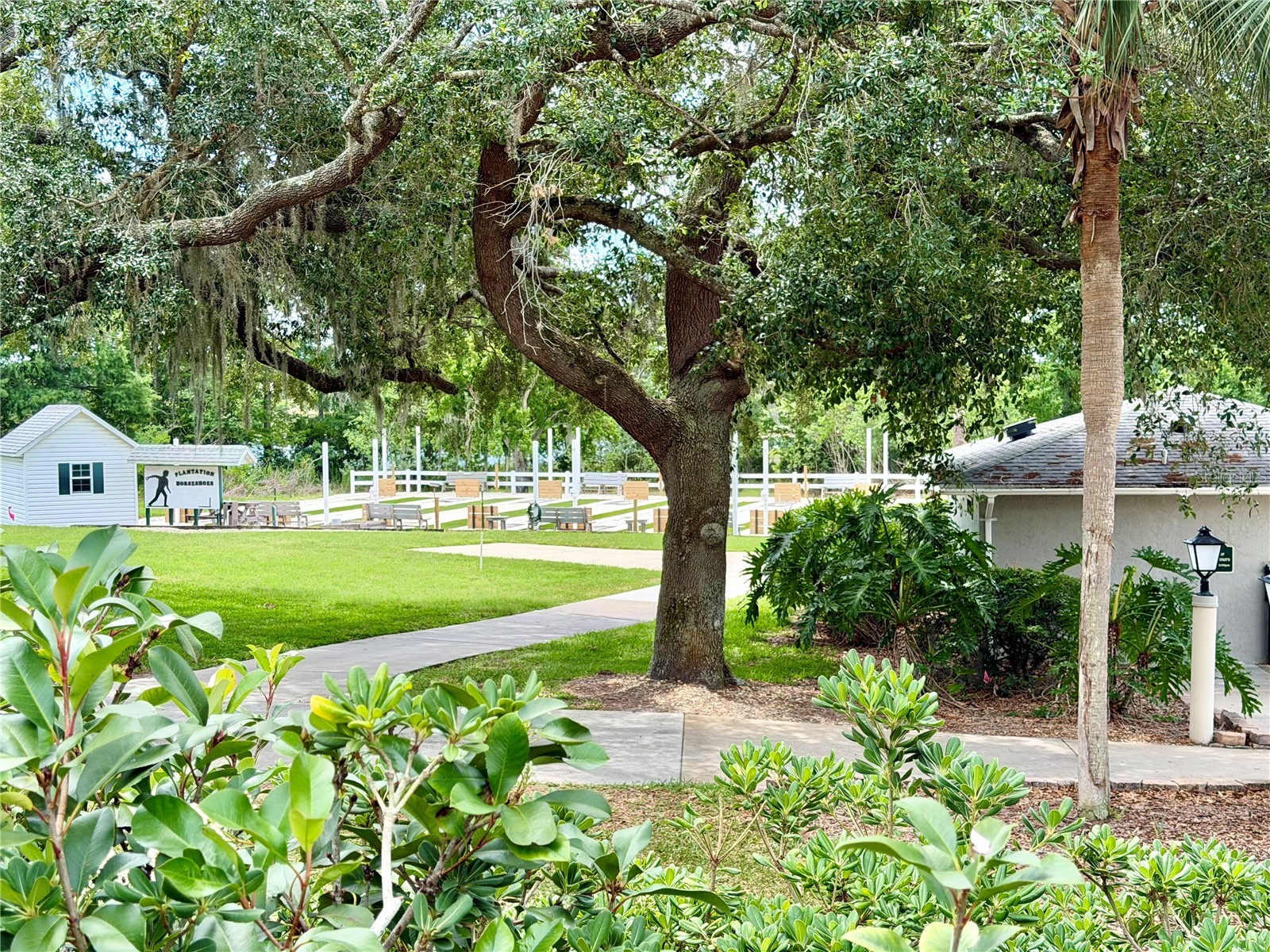 25510 Belle Alliance Leesburg FL 34748 OM725295 image24