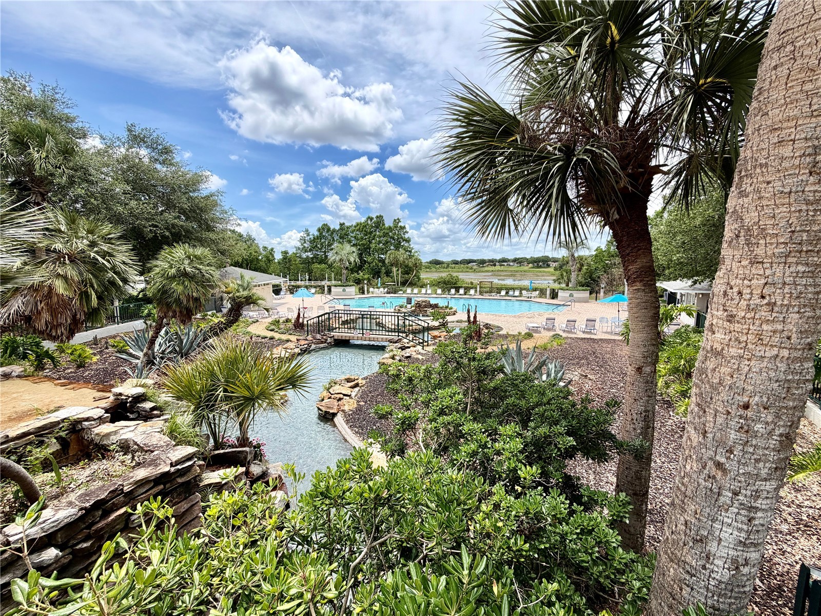 25510 Belle Alliance Leesburg FL 34748 OM725295 image27