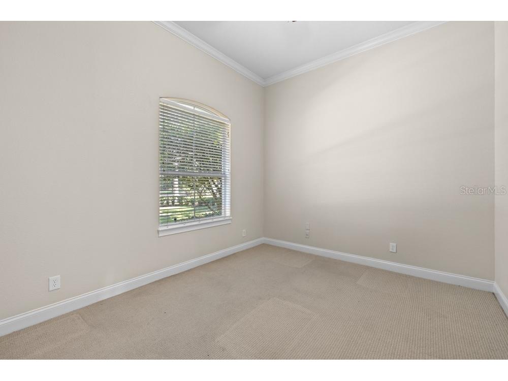 25515 Hawks Run Lane Sorrento FL 32776 O6376033 image13