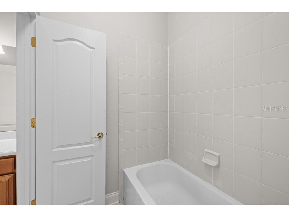 25515 Hawks Run Lane Sorrento FL 32776 O6376033 image33