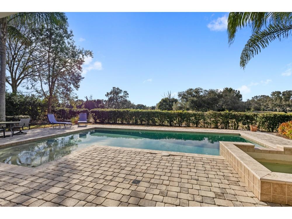 25515 Hawks Run Lane Sorrento FL 32776 O6376033 image49