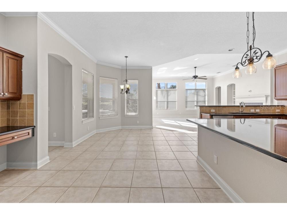 25515 Hawks Run Lane Sorrento FL 32776 O6376033 image7