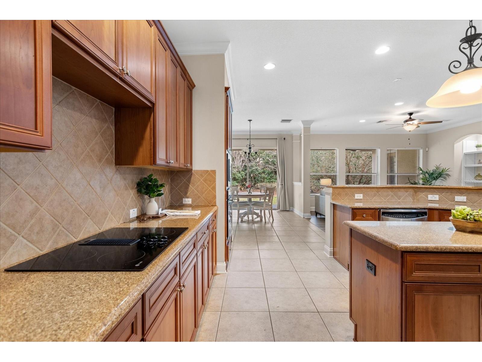 25516 Hawks Run Lane Sorrento FL 32776 O6384984 image17