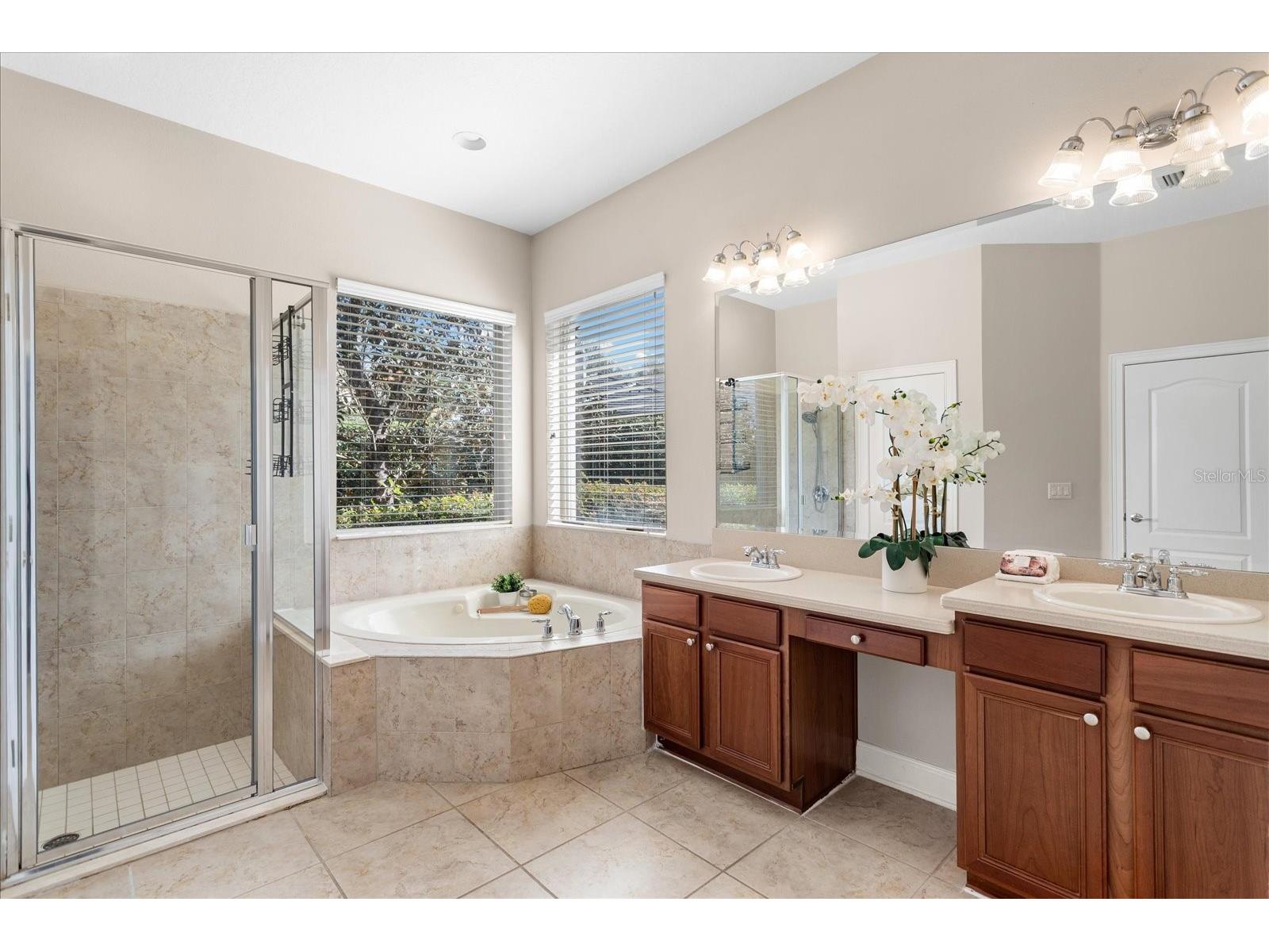 25516 Hawks Run Lane Sorrento FL 32776 O6384984 image22