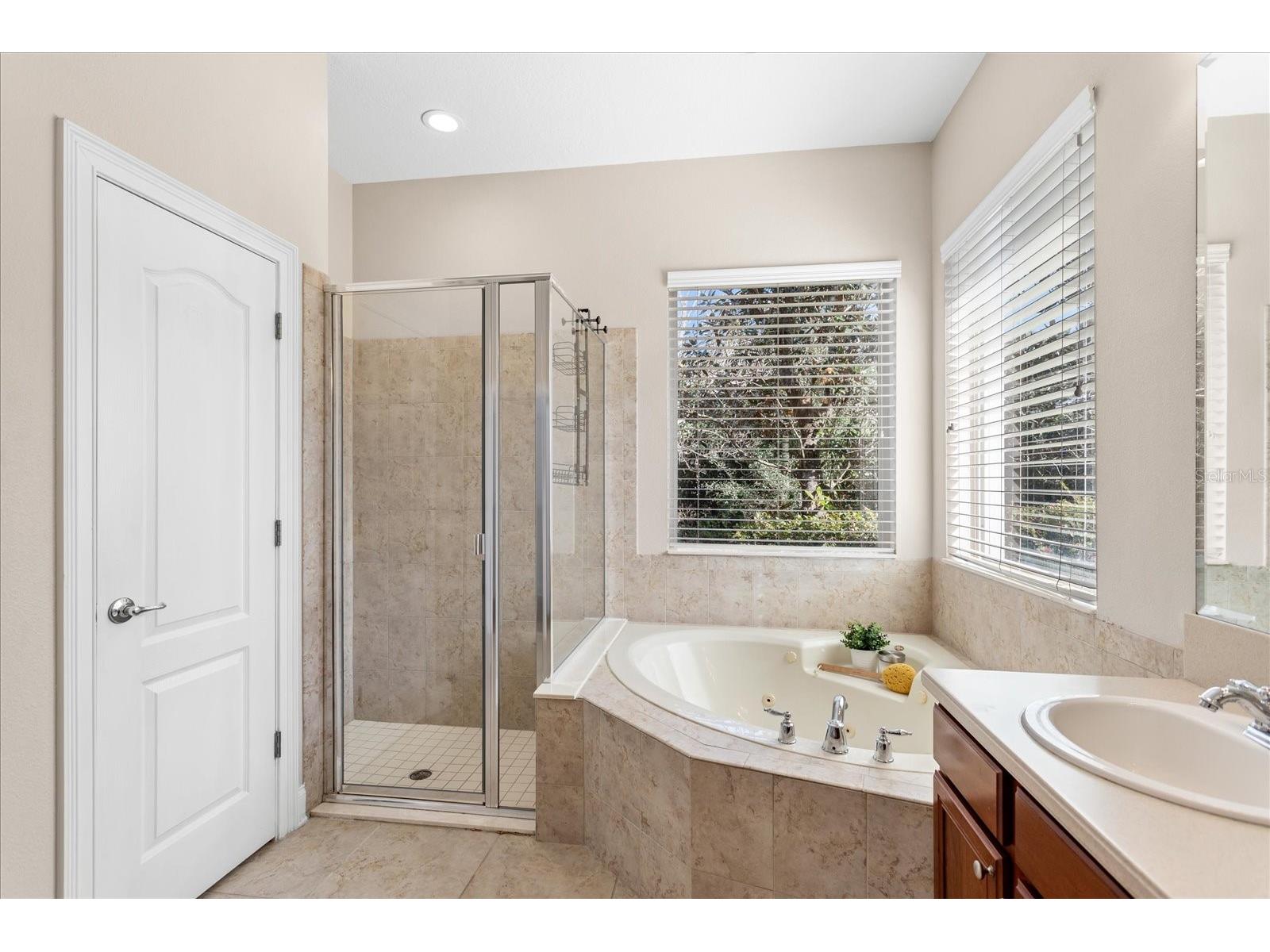 25516 Hawks Run Lane Sorrento FL 32776 O6384984 image23