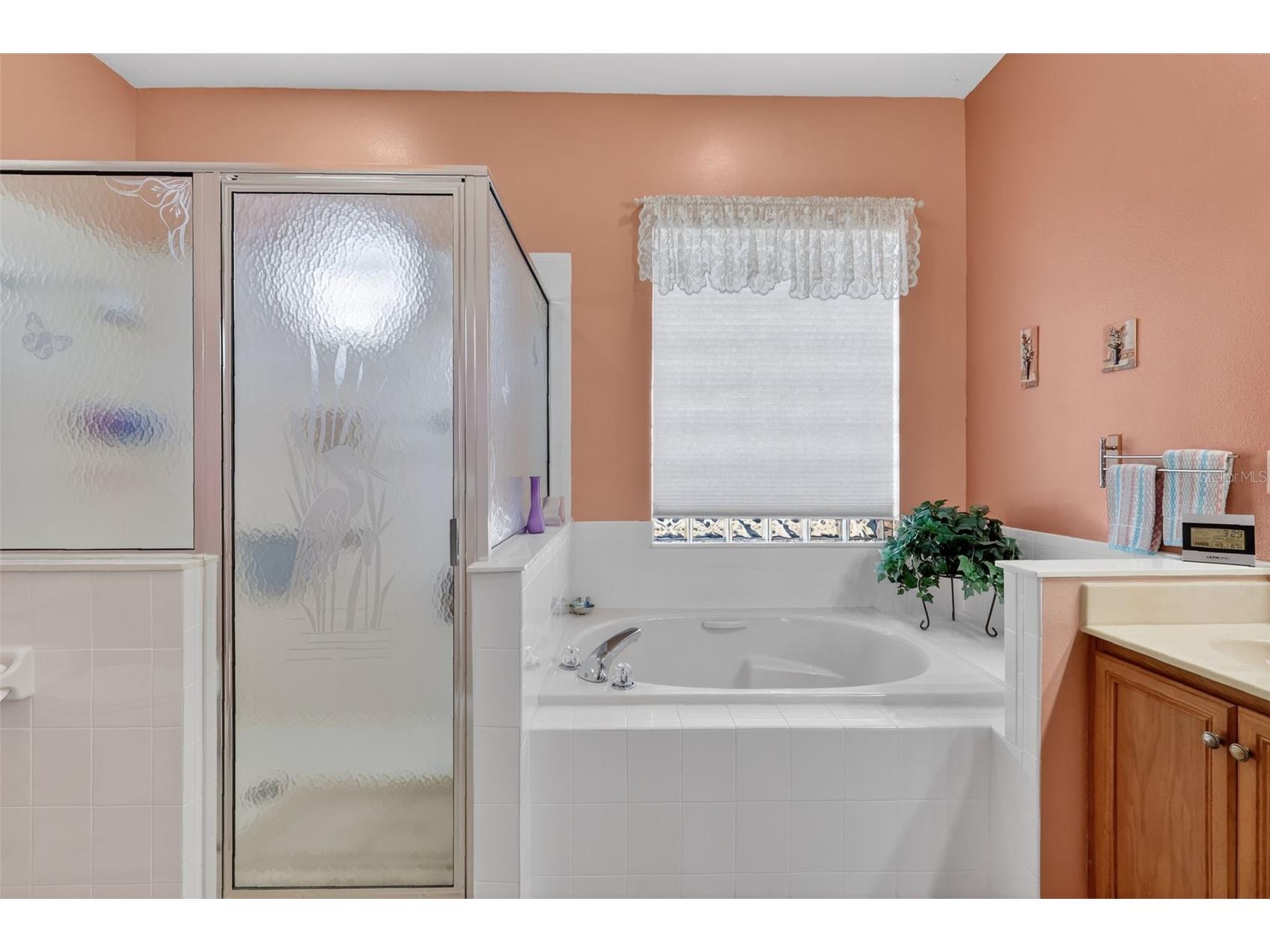 25517 Laurel Valley Road Leesburg FL 34748 G5107785 image28