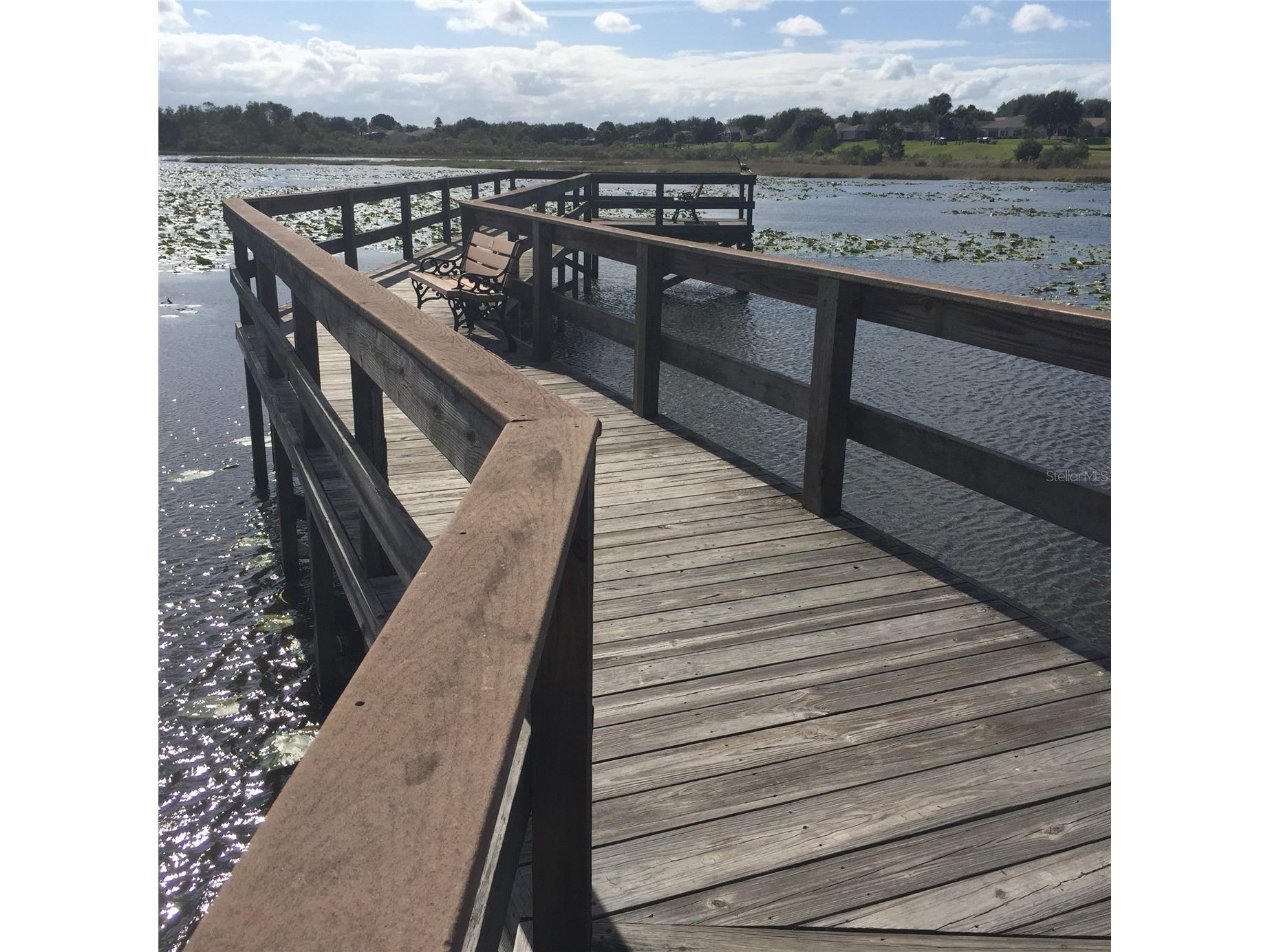 25517 Laurel Valley Road Leesburg FL 34748 G5107785 image48