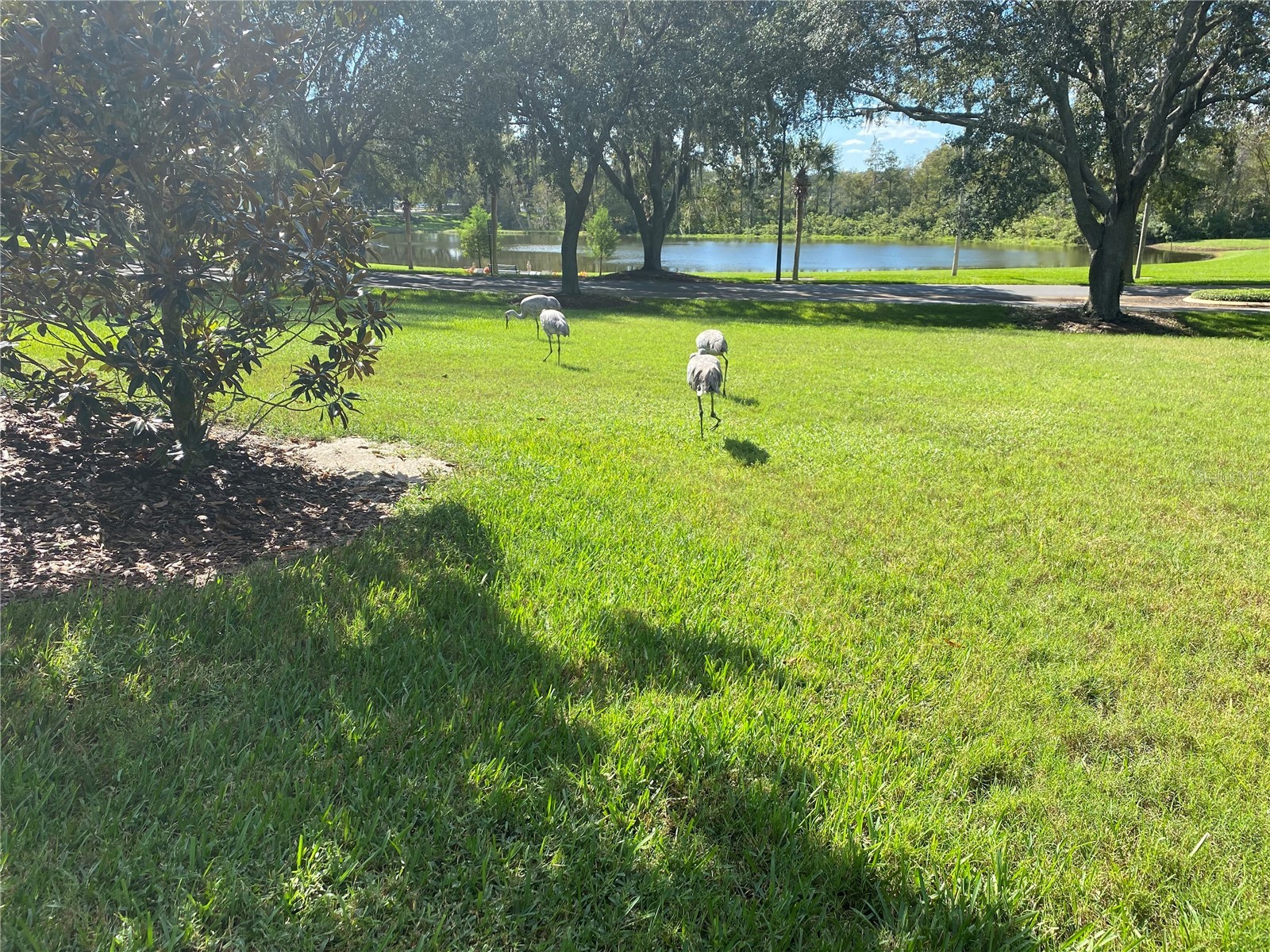 25517 Laurel Valley Road Leesburg FL 34748 G5107785 image51