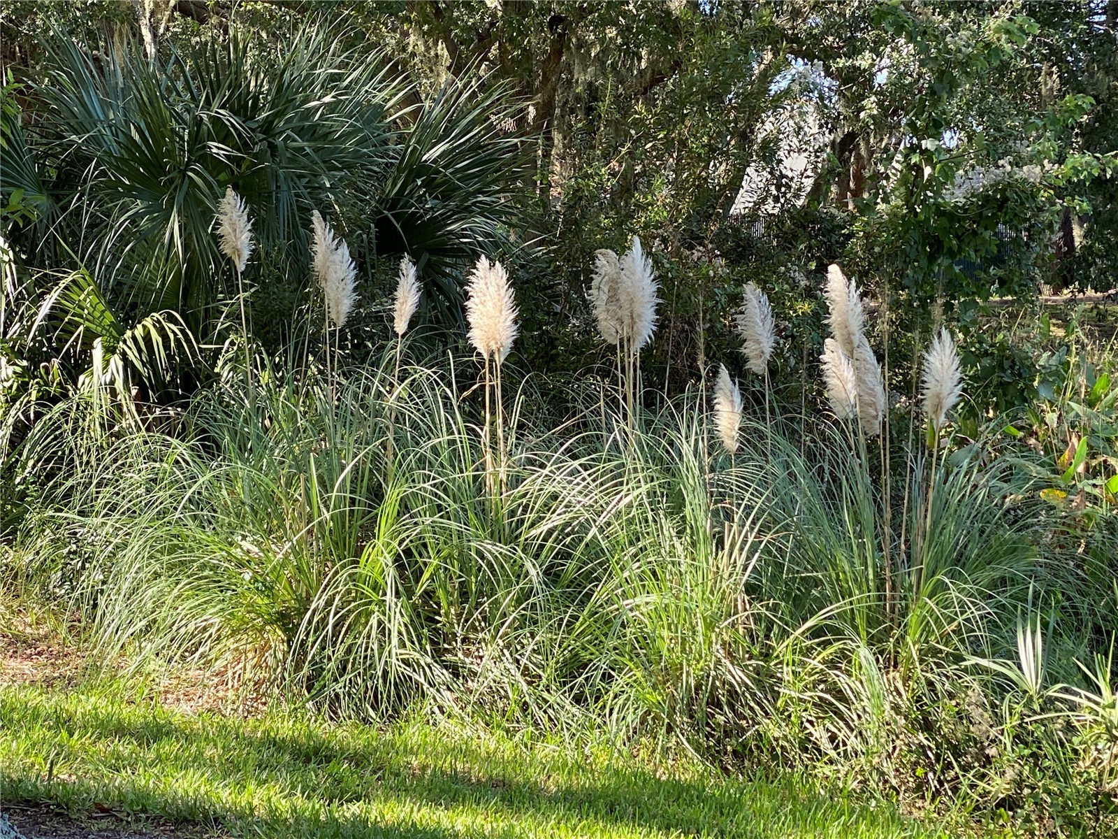 25517 Laurel Valley Road Leesburg FL 34748 G5107785 image52