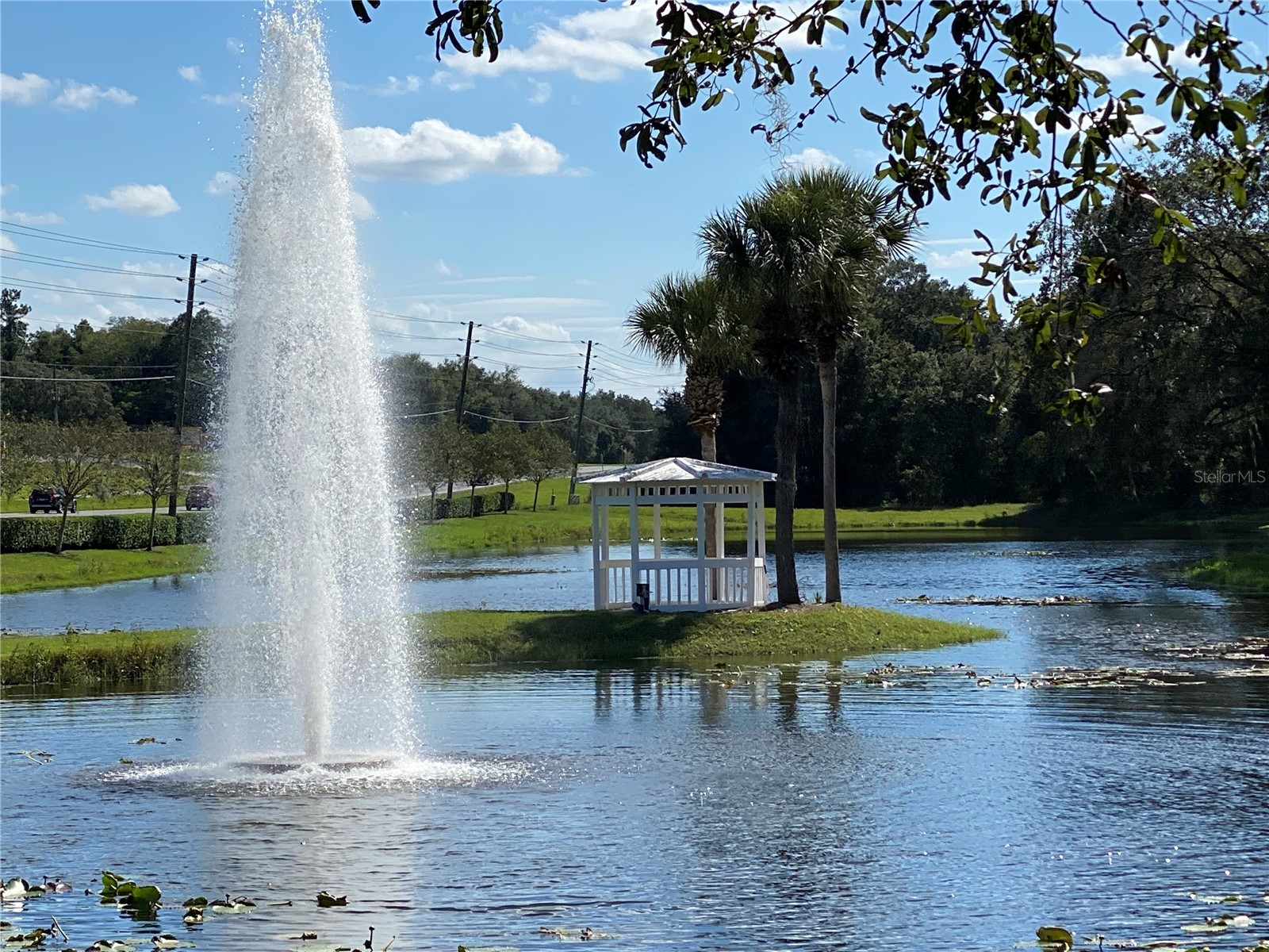 25517 Laurel Valley Road Leesburg FL 34748 G5114559 image42
