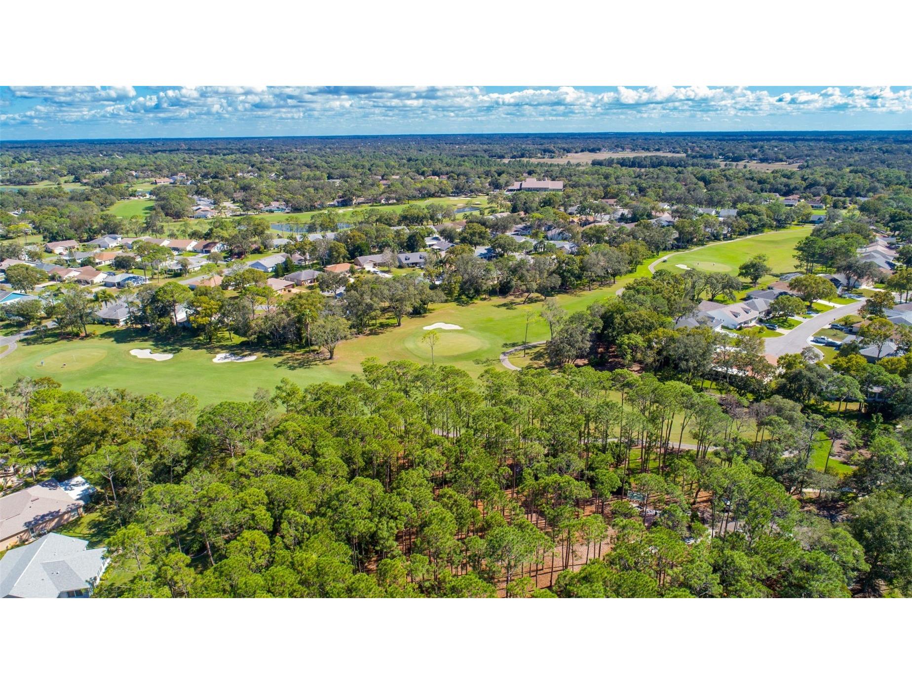 2552 Crystal Lake Drive Spring Hill FL 34606 TB8494624 image45