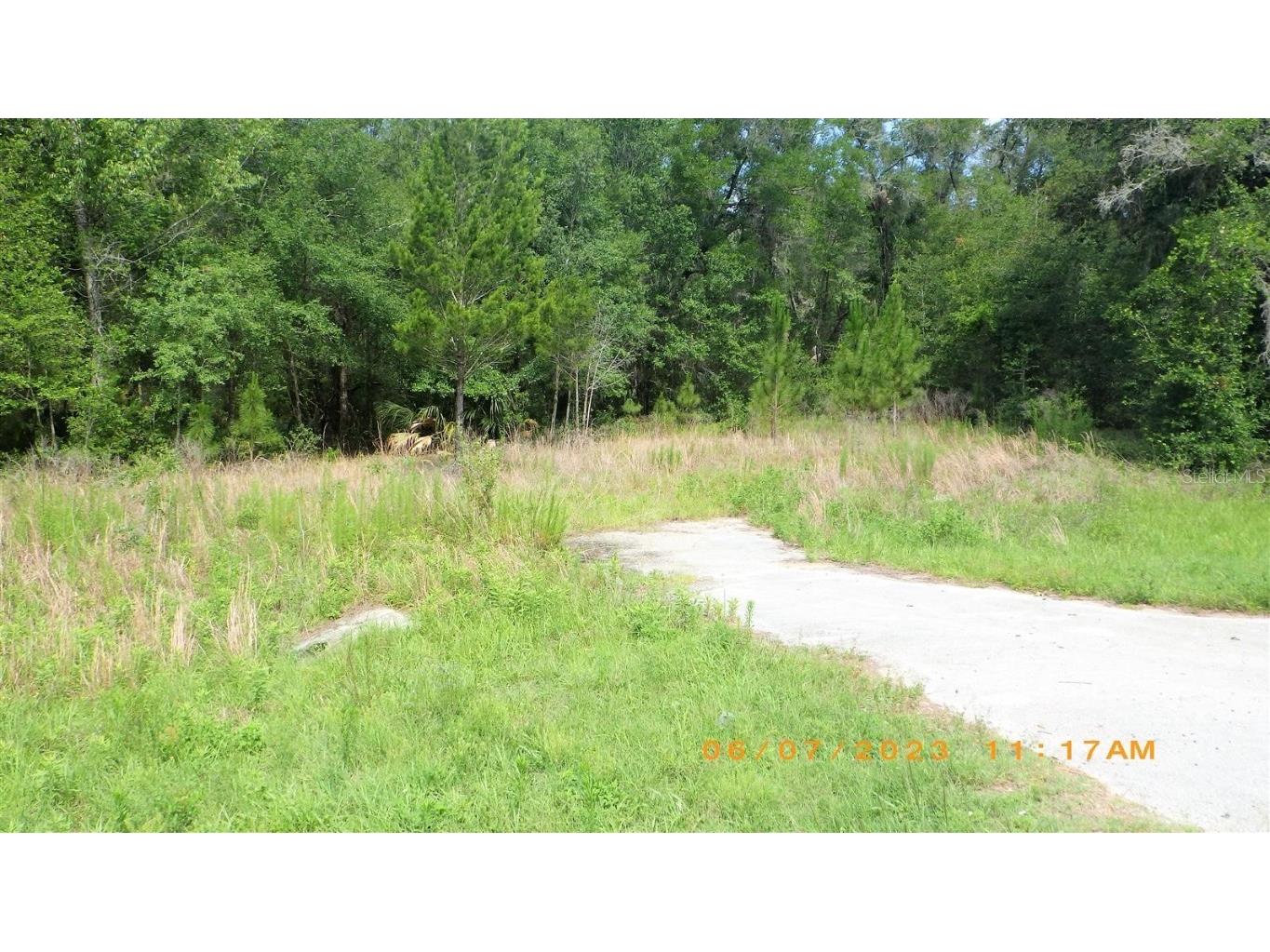 2552 W Dellwood Street Citrus Springs FL 34434 T3478808 image1