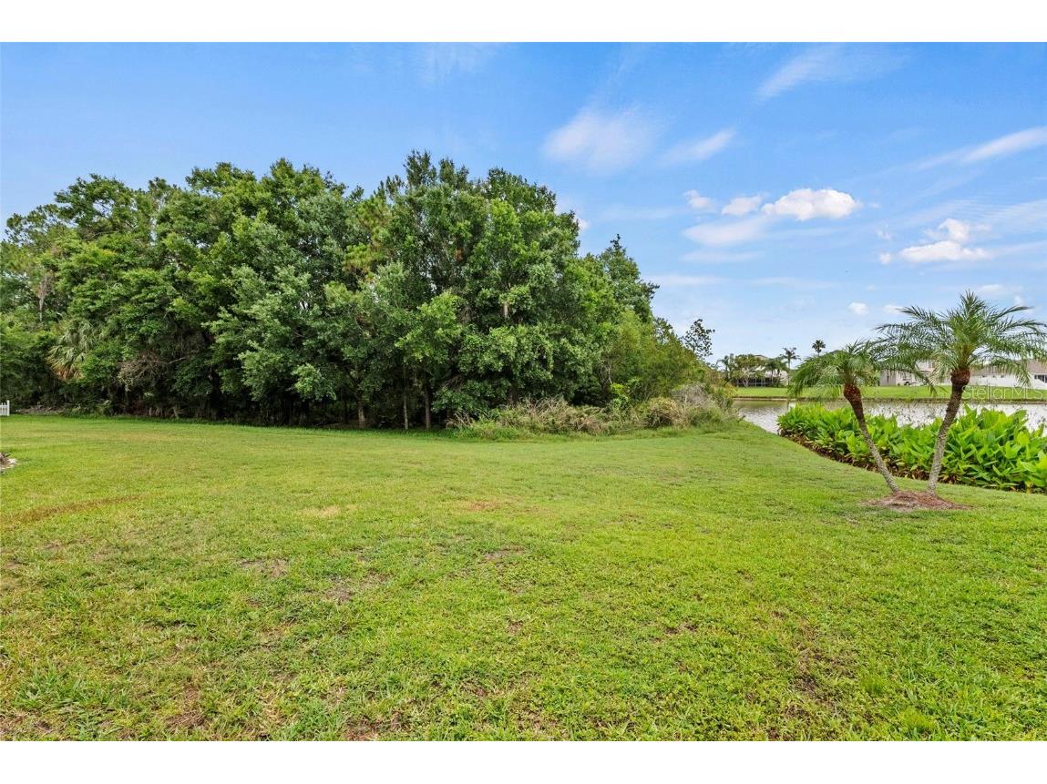 25521 Bruford Boulevard Land O Lakes FL 34639 TB8460918 image42