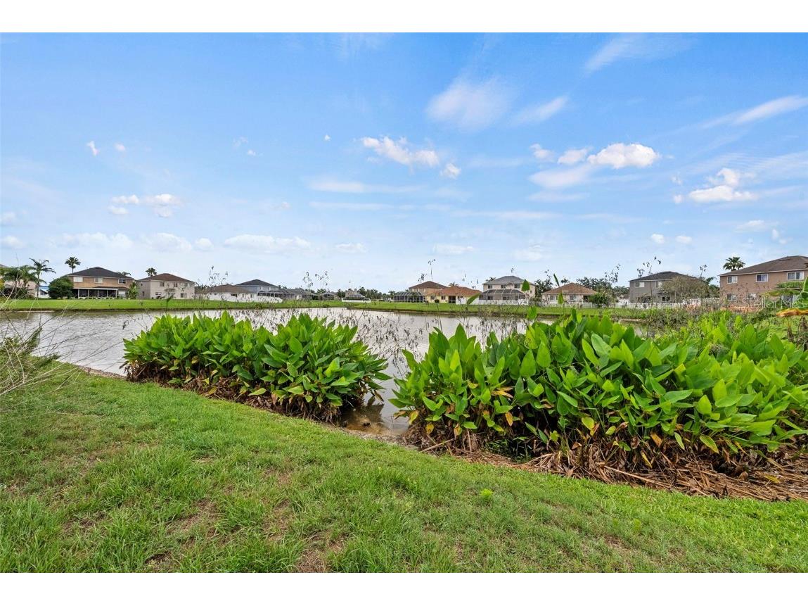 25521 Bruford Boulevard Land O Lakes FL 34639 TB8460918 image48