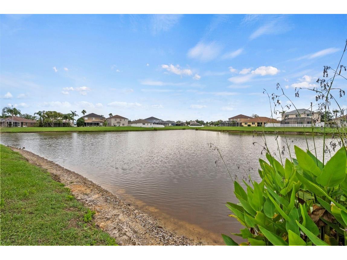 25521 Bruford Boulevard Land O Lakes FL 34639 TB8460918 image49