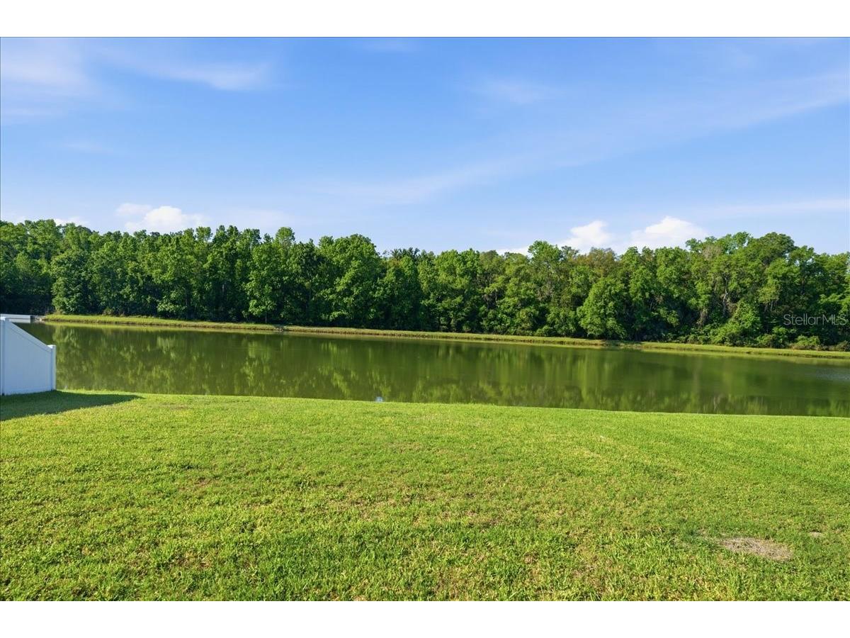 25522 Bruford Boulevard Land O Lakes FL 34639 TB8496710 image31