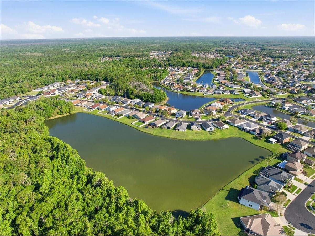 25522 Bruford Boulevard Land O Lakes FL 34639 TB8496710 image33
