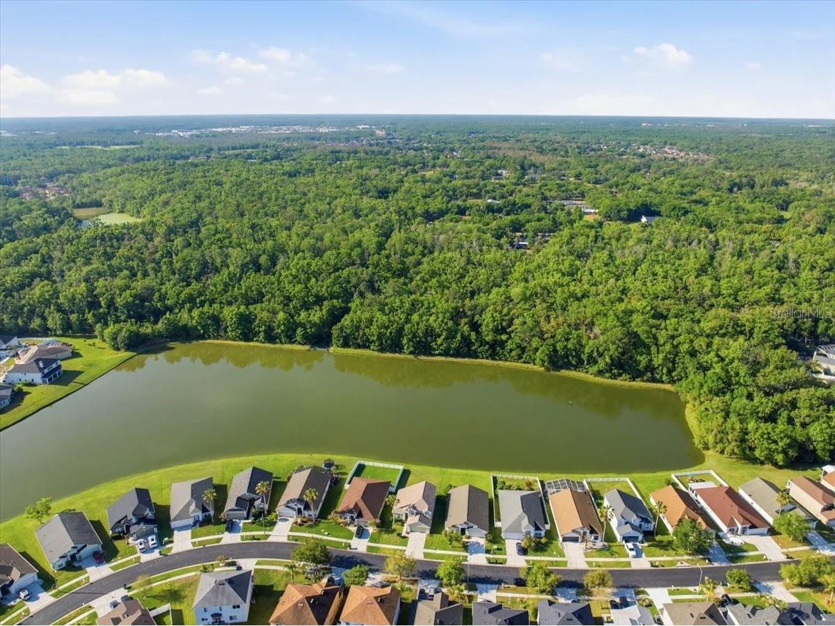 25522 Bruford Boulevard Land O Lakes FL 34639 TB8496710 image35